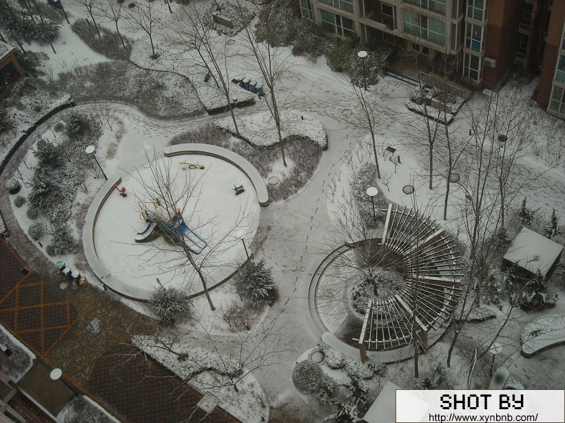 楼下的雪景